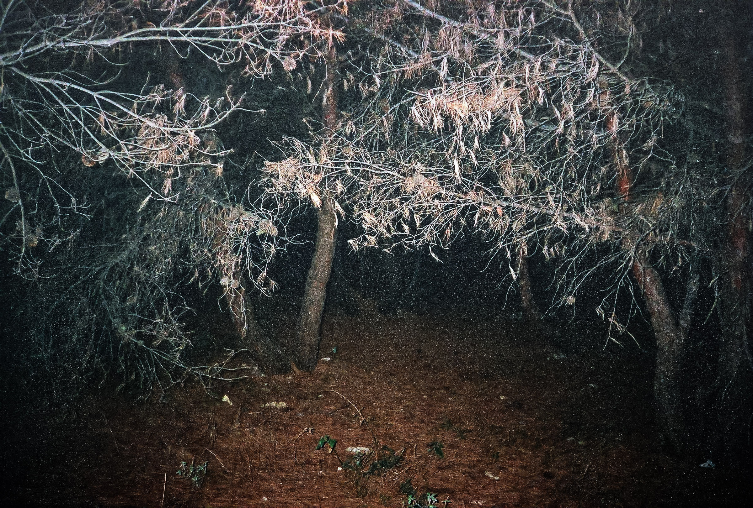 The Veprah Archive, photo 2