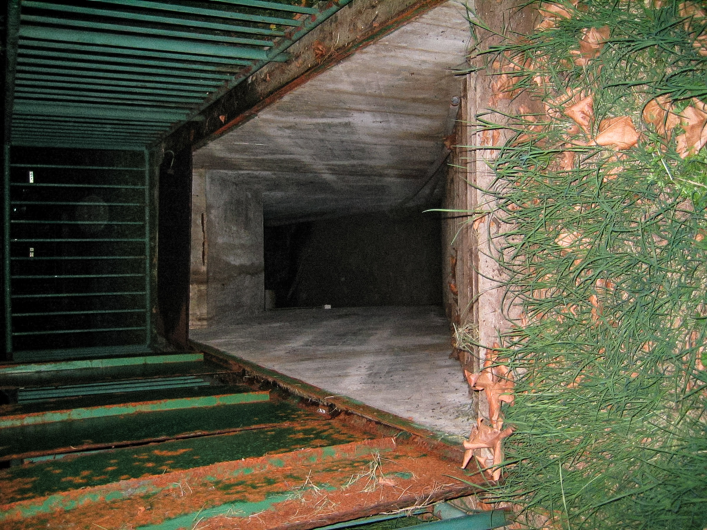 The Veprah Archive, photo 3